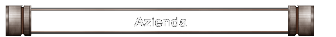 Azienda