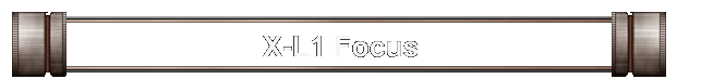 X-L1 Focus