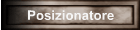 Posizionatore